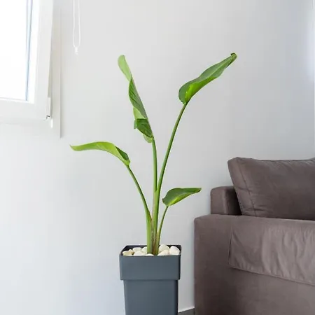 Apartmán Alex Luxury Downtown House *